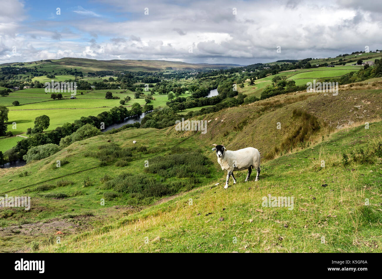 Teesdale, County Durham, UK. Samstag, 9. September 2017. UK Wetter. Es war ein Tag der Sonne und vereinzelte schwere Duschen über dem Nordosten von England. Diese Duschen wird erwartet, dass sie für eine Zeit vor dem Regen kehrt am Sonntag Nachmittag zu sterben. Quelle: David Forster/Alamy Leben Nachrichten. Stockfoto