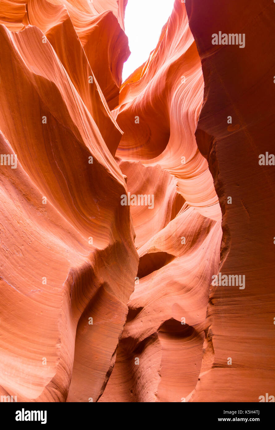 Erodierten Felsformationen im Lower Antelope Canyon in der Nähe von Page, Arizona (USA). Der Sandstein Slot Canyon ist eine echte touristische Attraktion. Stockfoto