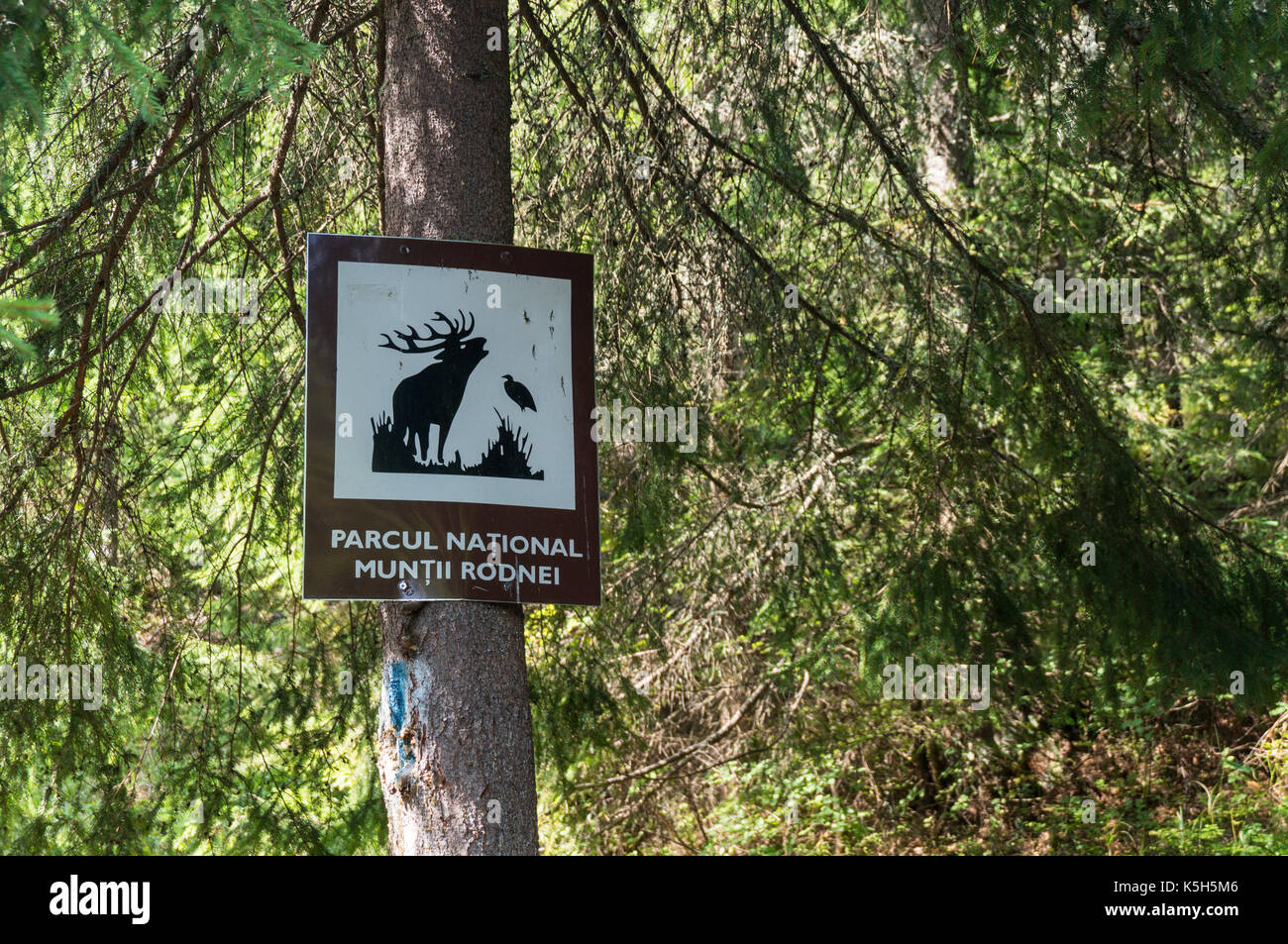Zeichen, Post, Baum, Rodina, Berge, national, Park, Wildlife, Resort, Hirsch, Tiere, Geweihe, Rumänien, Rumänisch, maramures Stockfoto
