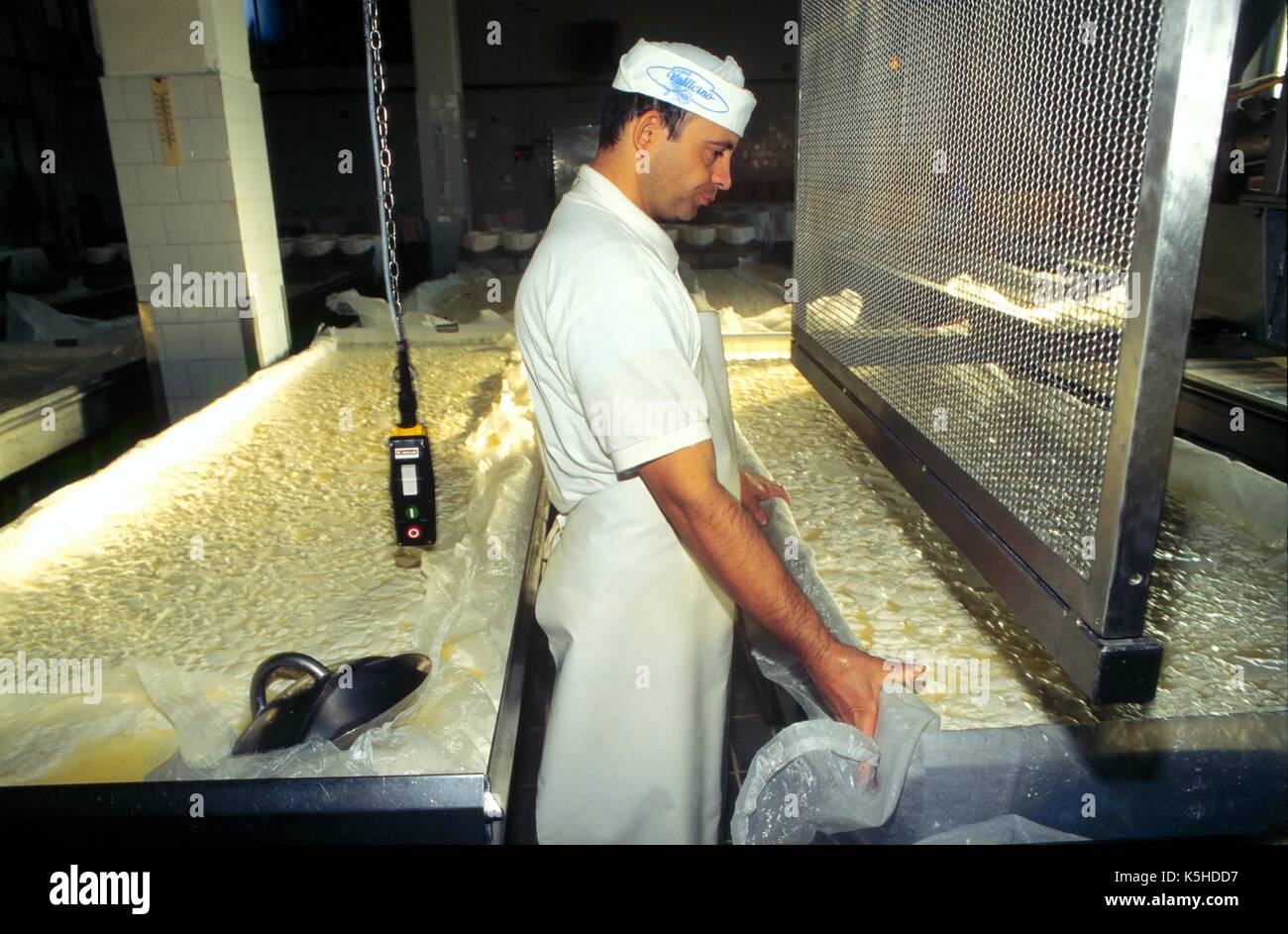 Italien, Produktion von typischen Gorgonzola in der Provinz Novara (Piemont) Stockfoto