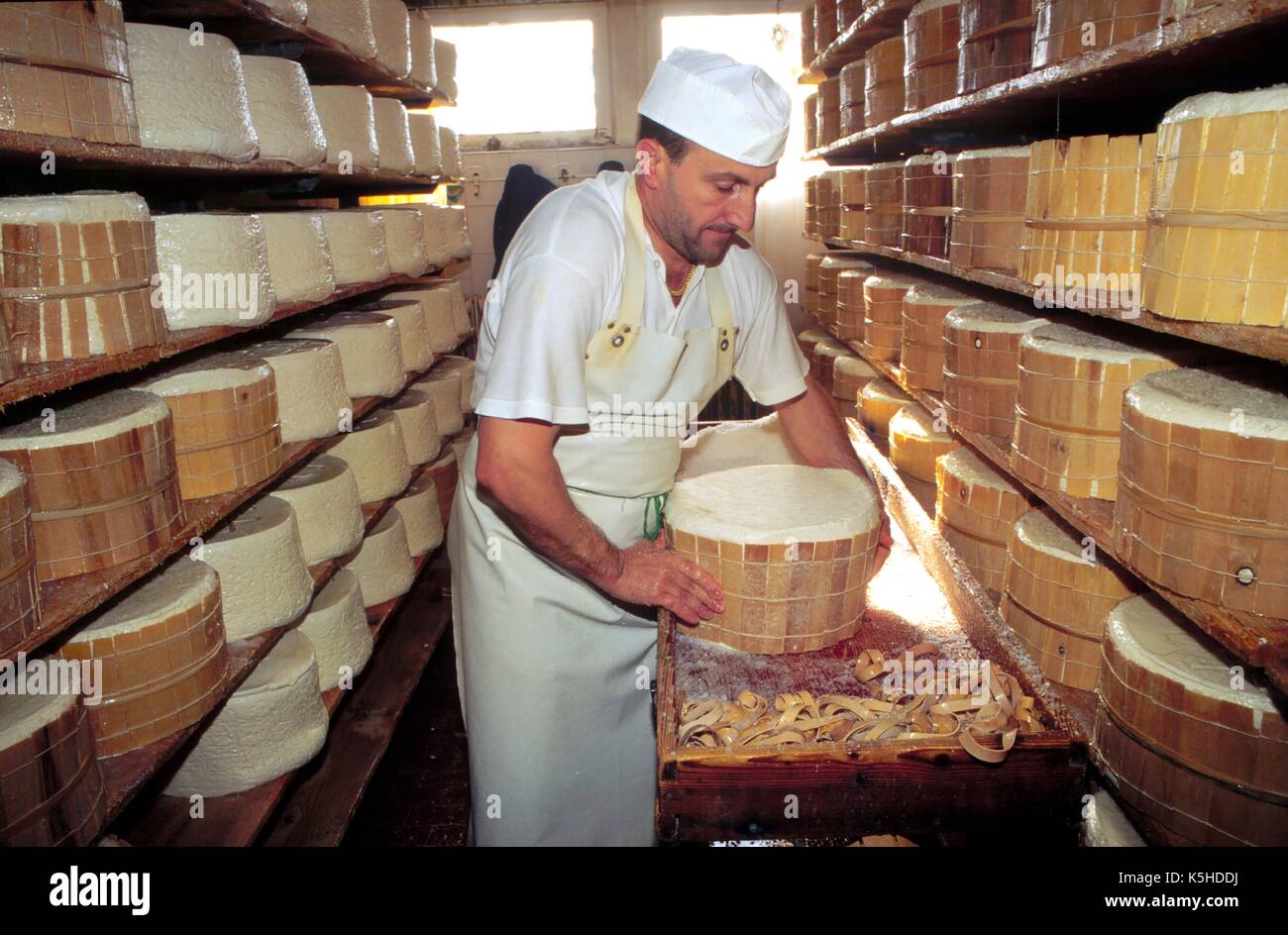 Italien, Produktion von typischen Gorgonzola in der Provinz Novara (Piemont) Stockfoto