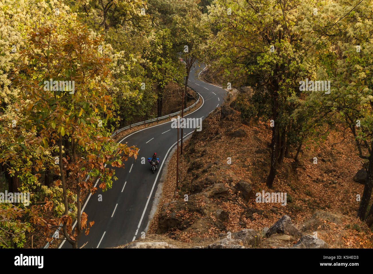 Kurvenreiche Straße in Kumaon, Uttarakhand, Indien Stockfoto