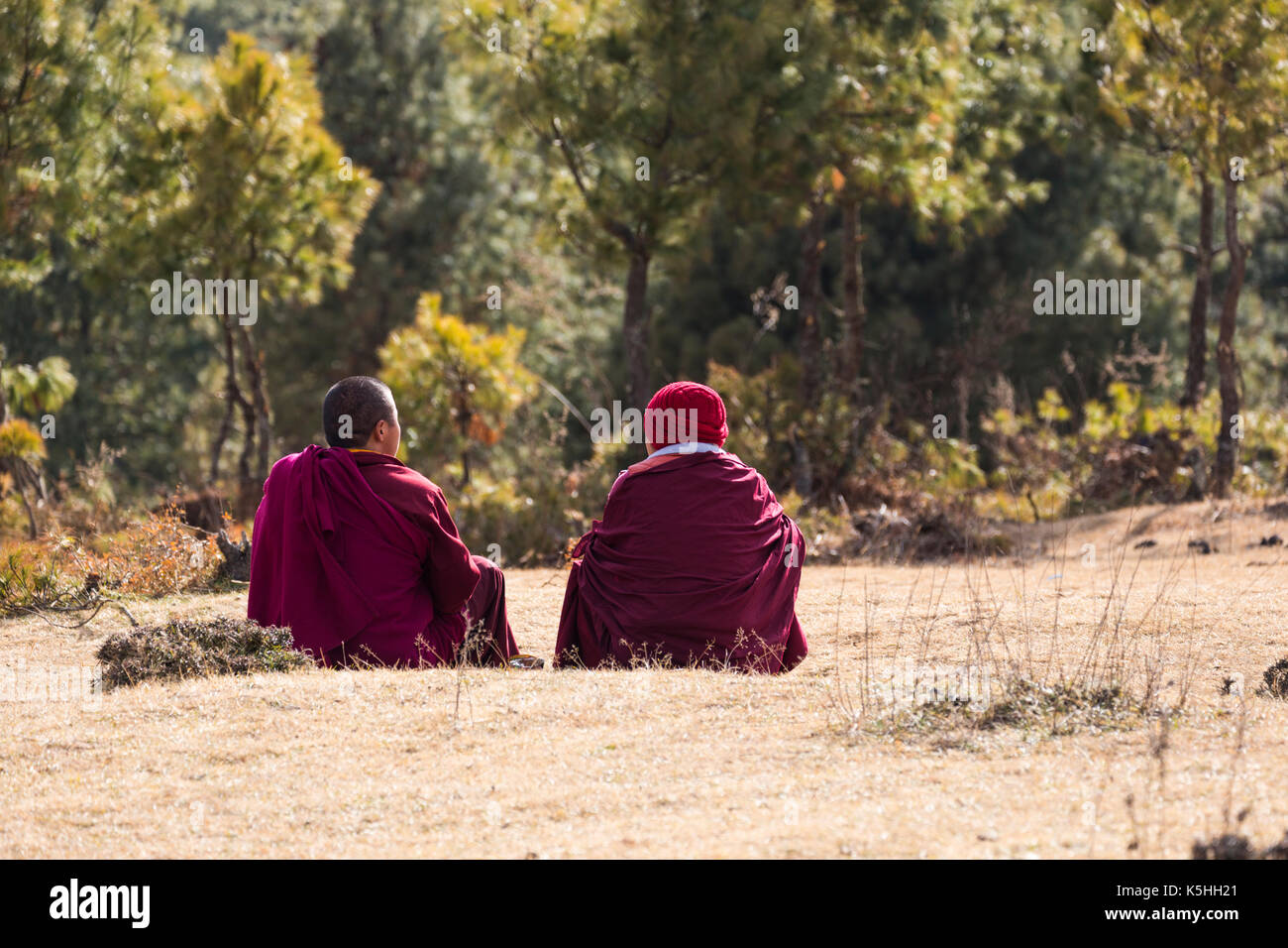 Die jungen Novizen an Gangtey in Phobjikha Tal, westlichen Bhutan. Stockfoto