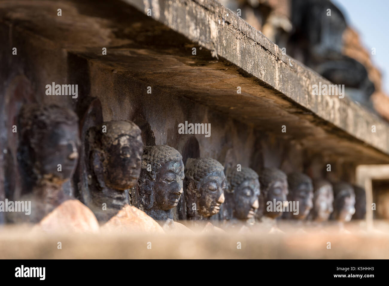 Viele der Stein Buddha Köpfe in Ayutthaya. Thailand Stockfoto