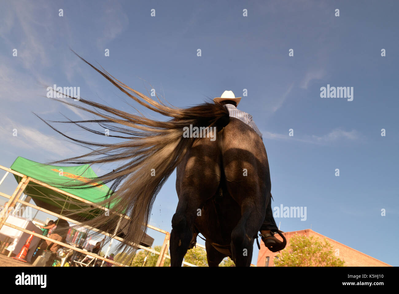 El Dia de San Juan Fiesta, die den Geburtstag von Johannes dem Täufer und dem Beginn der Monsunzeit in der Sonoran Wüste feiert, nimmt pl Stockfoto