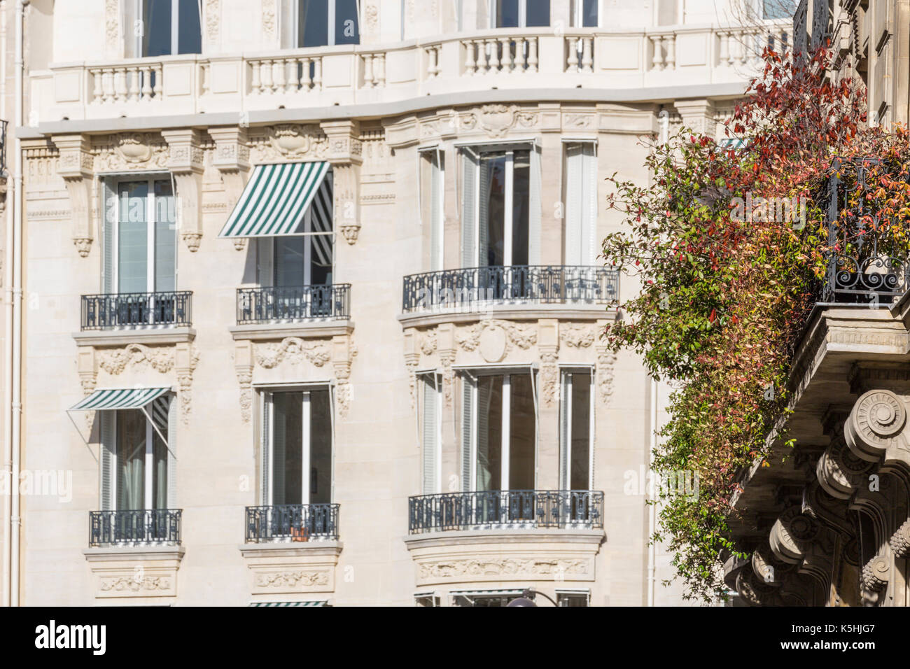 Typische Wohnung Gebäude in Paris, Frankreich Stockfoto