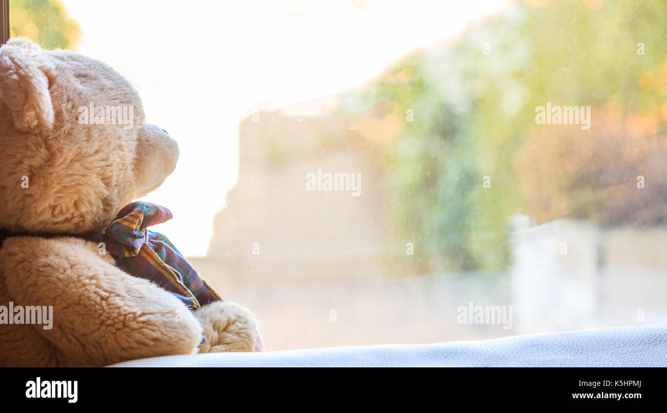 Teddybär auf dem Fensterbrett sitzen Stockfoto