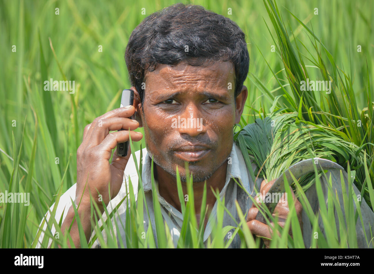 Die Förderung der Landwirtschaft landwirtschaftliche Verlängerung haben mit Call Center lecken Krishi Call Center digitalisiert Stockfoto