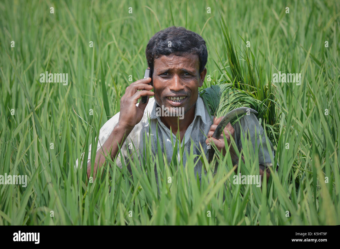 Die Förderung der Landwirtschaft landwirtschaftliche Verlängerung haben mit Call Center lecken Krishi Call Center digitalisiert Stockfoto