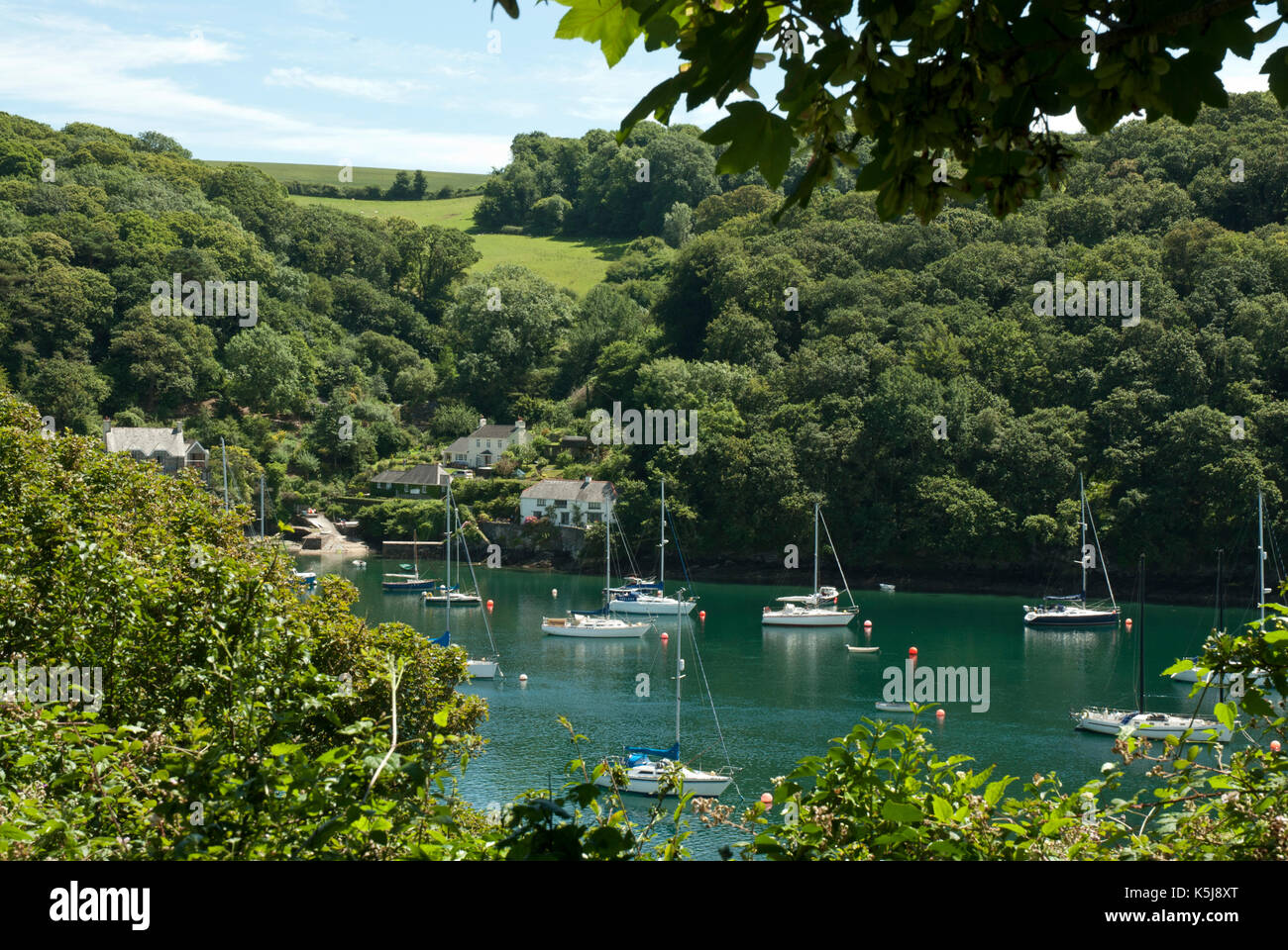 Fluss Yealm an einem sonnigen Tag mit angelegten Yachten, woodlans und Fieds nach Noss Mayo, Devon. Stockfoto