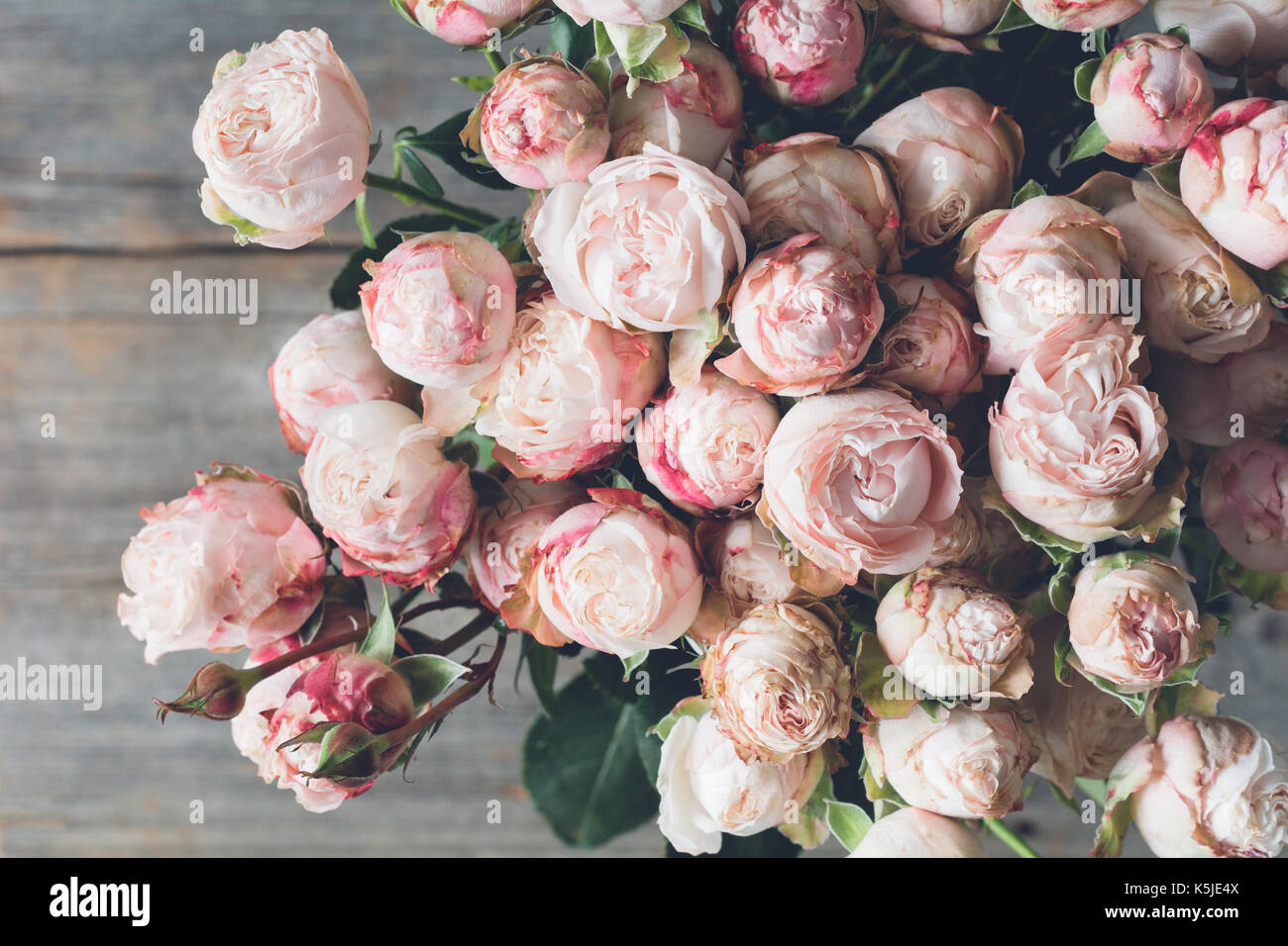 Rosa Strauchrosen auf hölzernen Hintergrund Bouquet. Schöne Hochzeit shabby chic Blumenstrauß. Detailansicht. vintage Toning Stockfoto