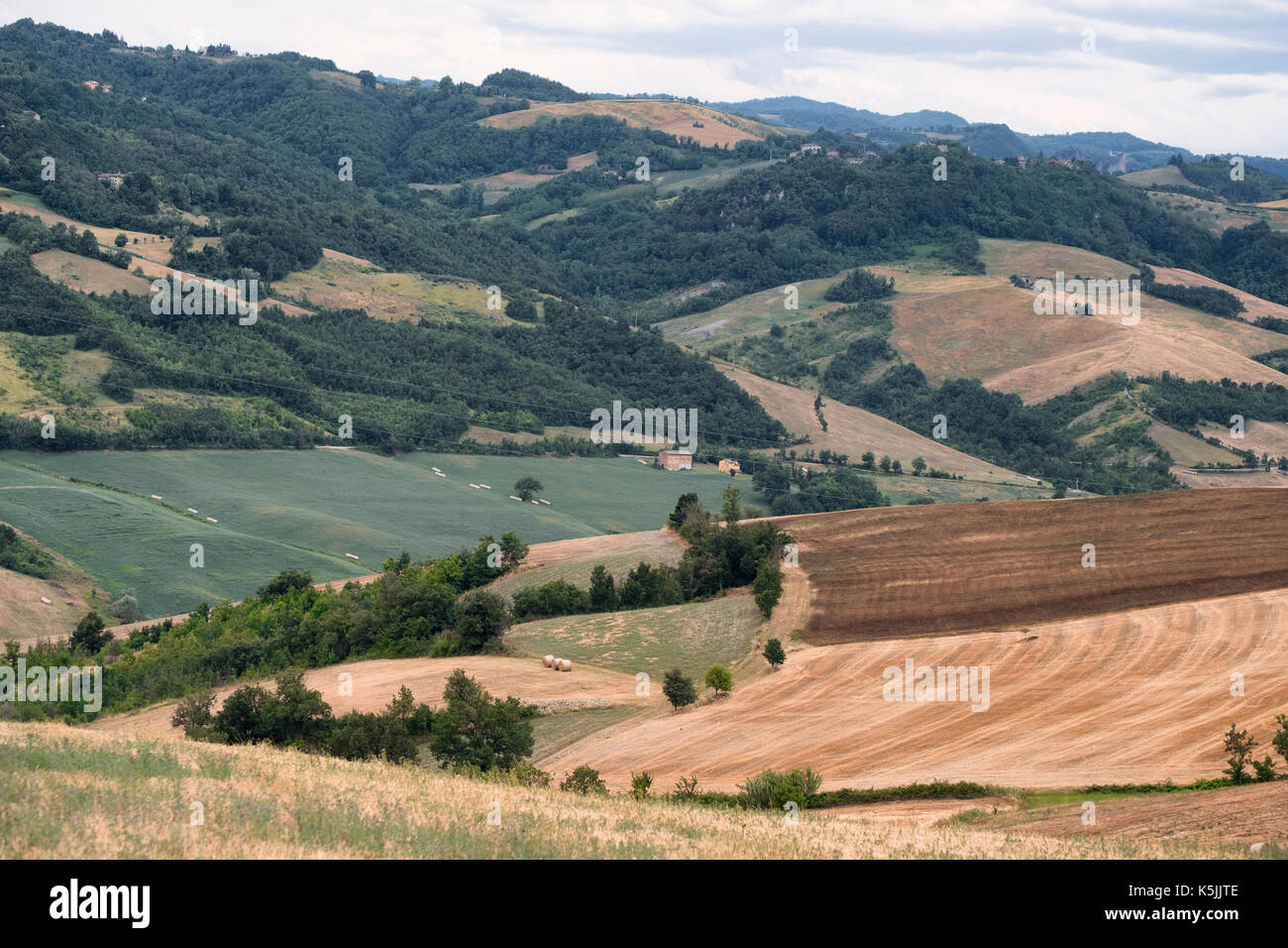 Ansicht der Panaro Tal (Modena, Emilia Romagna, Italien) im Sommer Stockfoto