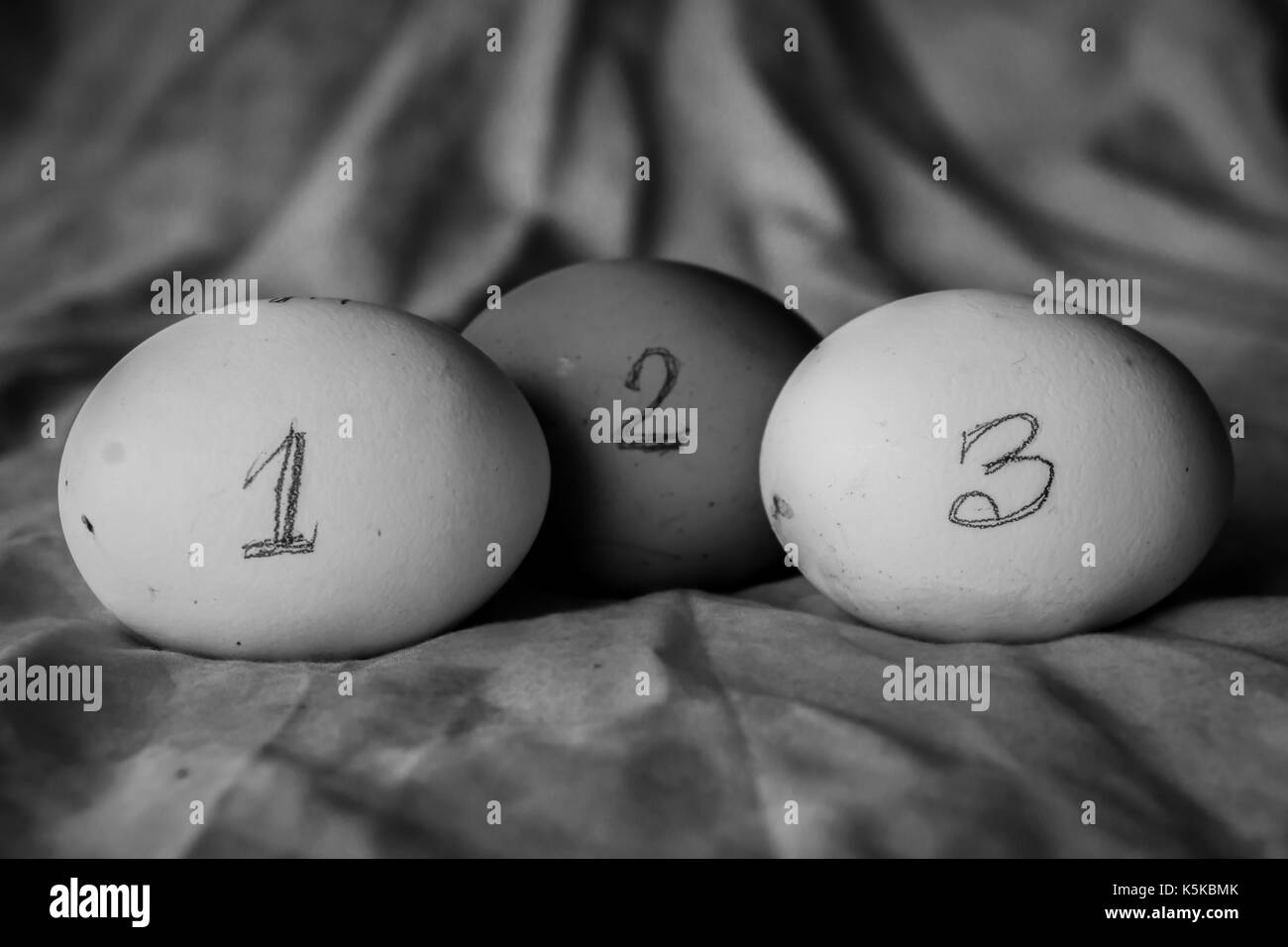 Dir die Eier in eine numerische Sequenz mit Nummer auf diese schriftlichen gehalten. Stockfoto