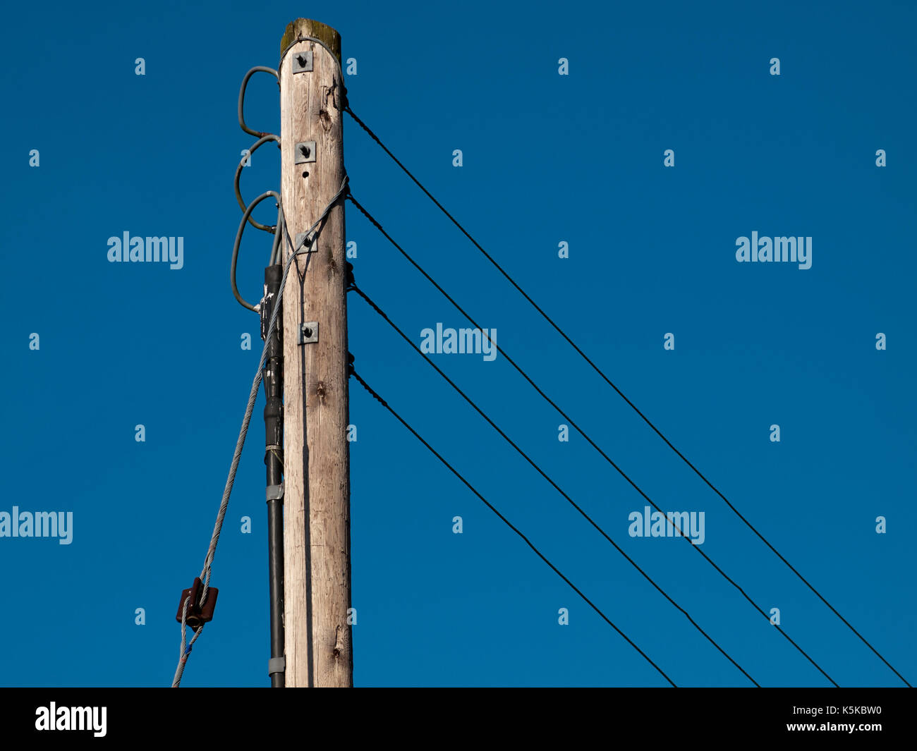 Telegrafenmast vor blauem Himmel Stockfoto