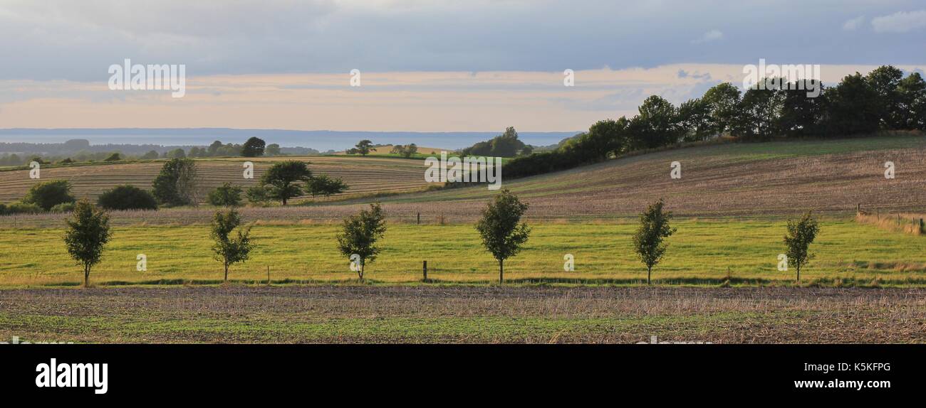 Ländliche Dänemark. Landschaft in Moen. Stockfoto