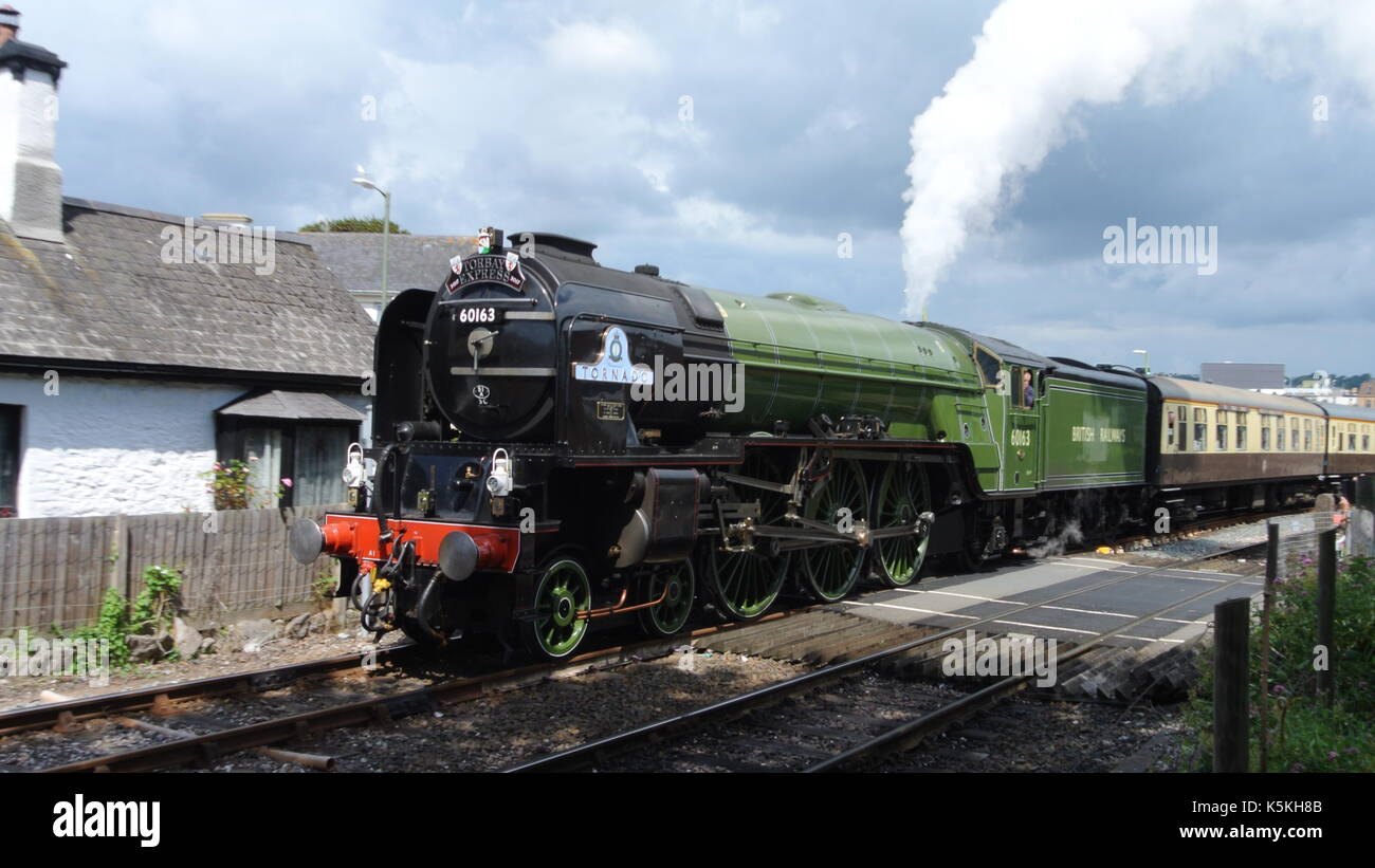 Pfeffer Lner Klasse A1 60163 Tornado Schleppen der Torbay Express, etwas außerhalb von Paignton Bahnhof, Devon, England Stockfoto