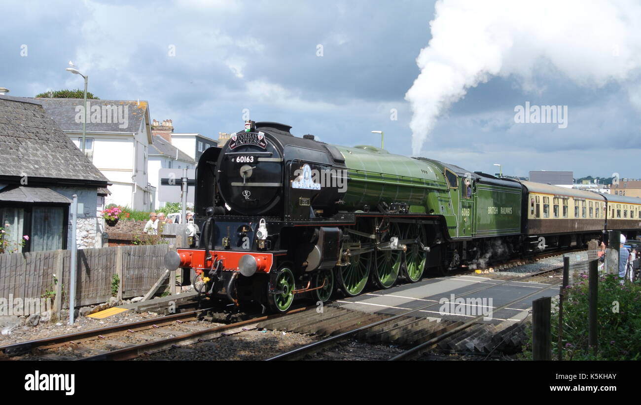 Pfeffer Lner Klasse A1 60163 Tornado Schleppen der Torbay Express, etwas außerhalb von Paignton Bahnhof, Devon, England Stockfoto