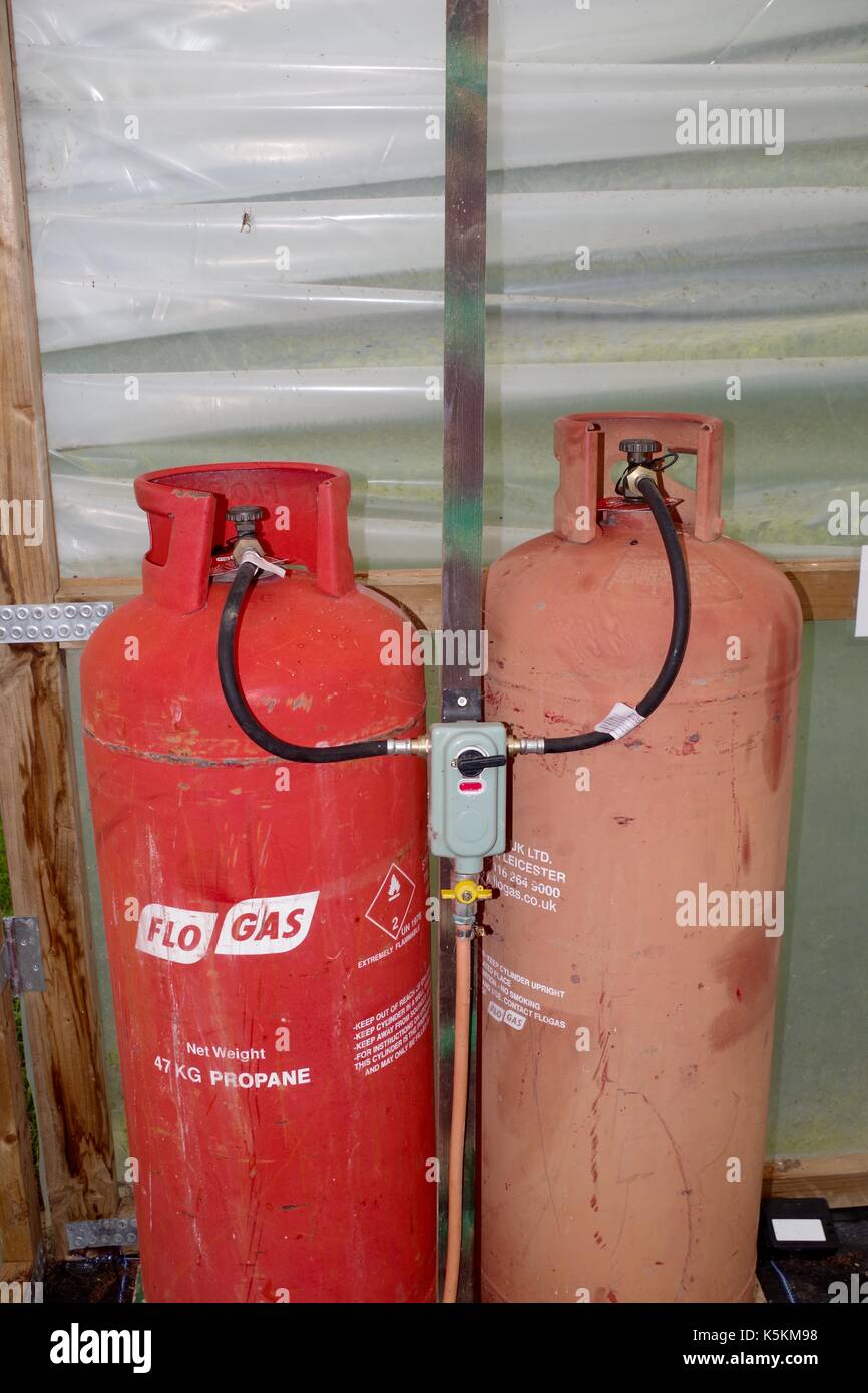 Propan Benzinkanister zu Heizen ein Poly Tunnel. Lydcott Gärtnerei, Mid Devon, Großbritannien. August, 2017. Stockfoto