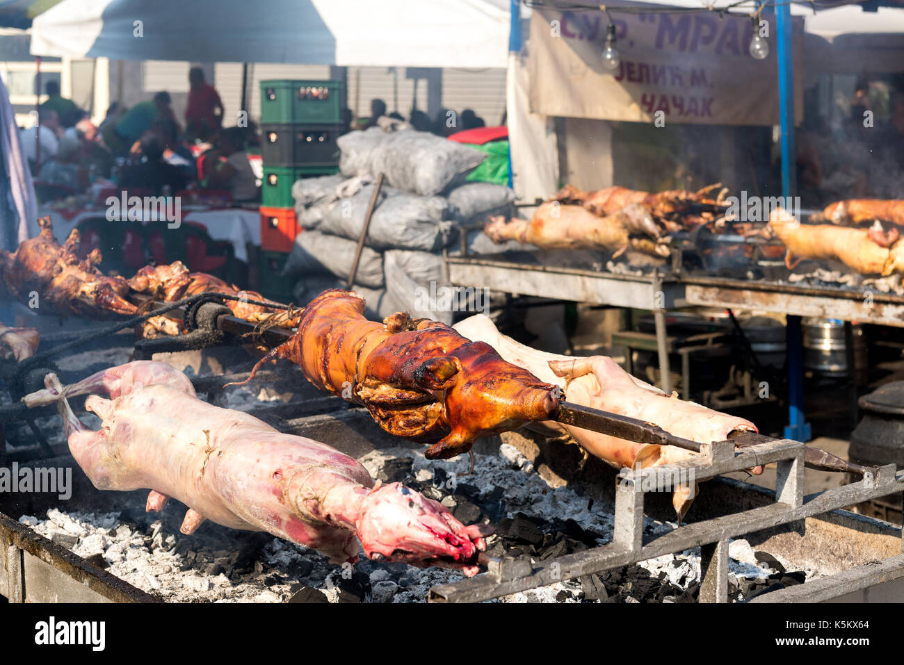 Die jährliche Leskovac Grill Festival, auch als Grill Woche bekannt, Serbien Stockfoto