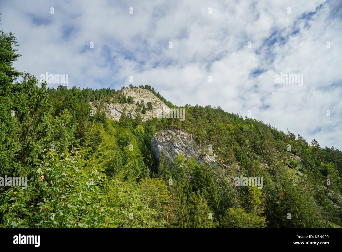 Blick von der speziellen Zug klettern bis zum Pilatus, Luzern, Schweiz Stockfoto