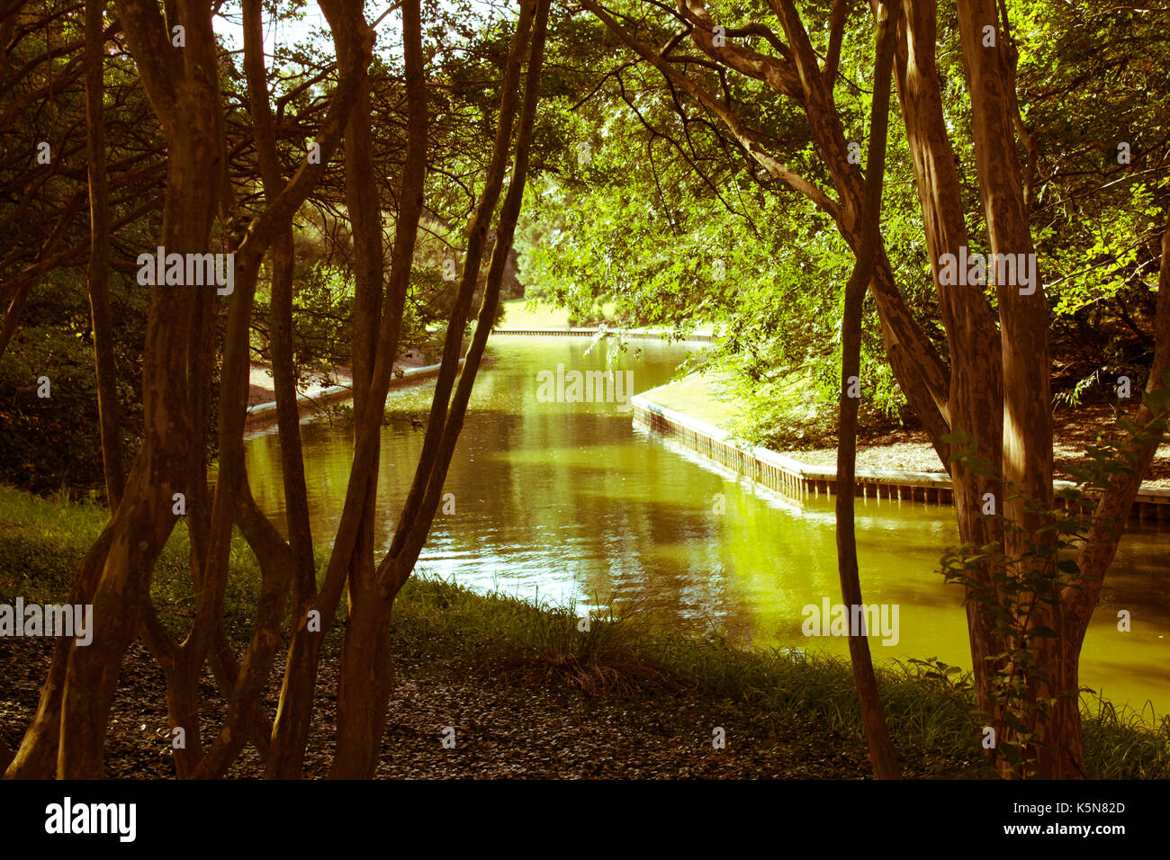 Wunderschönes Land und Wasser bei Norfolk Botanical Gardens Stockfoto