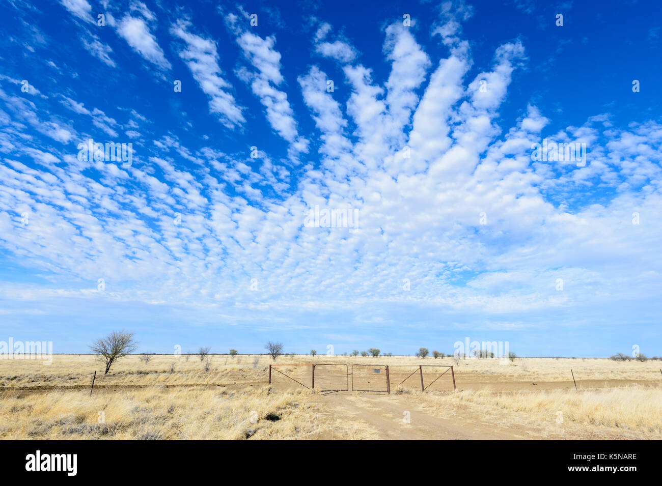 Makrele Himmel über der Savanne im Outback, Queensland, Queensland, Australien Stockfoto