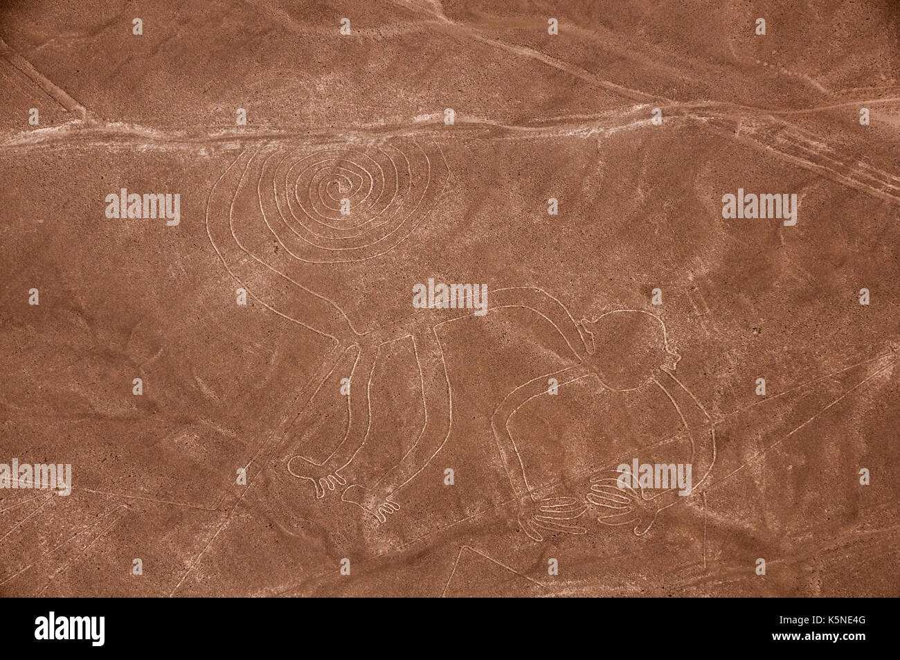 Affe, Nazca Lines, Peru Stockfoto