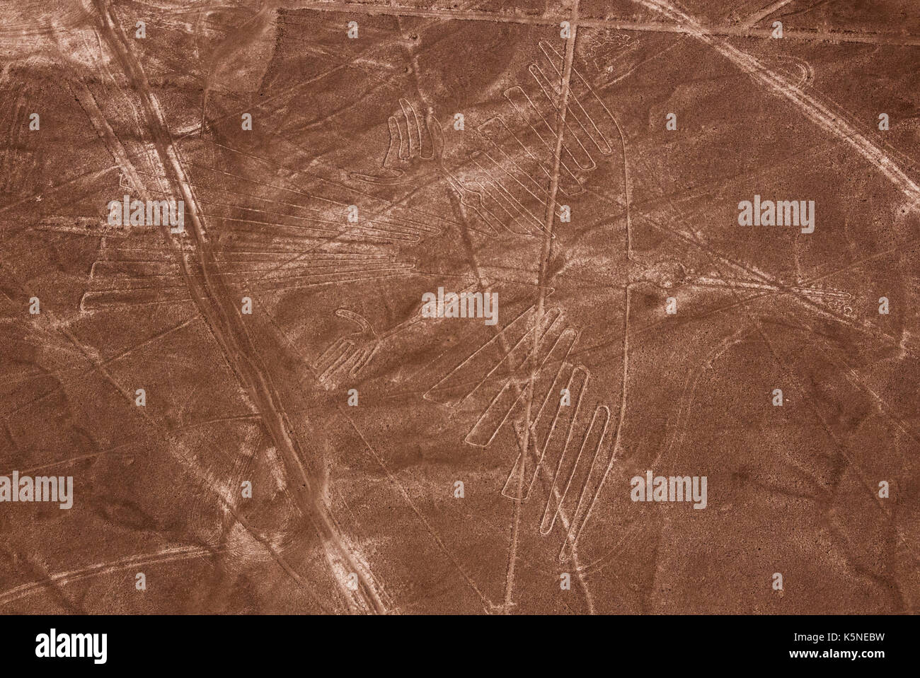 Reiher, Nazca Lines, Peru Stockfoto