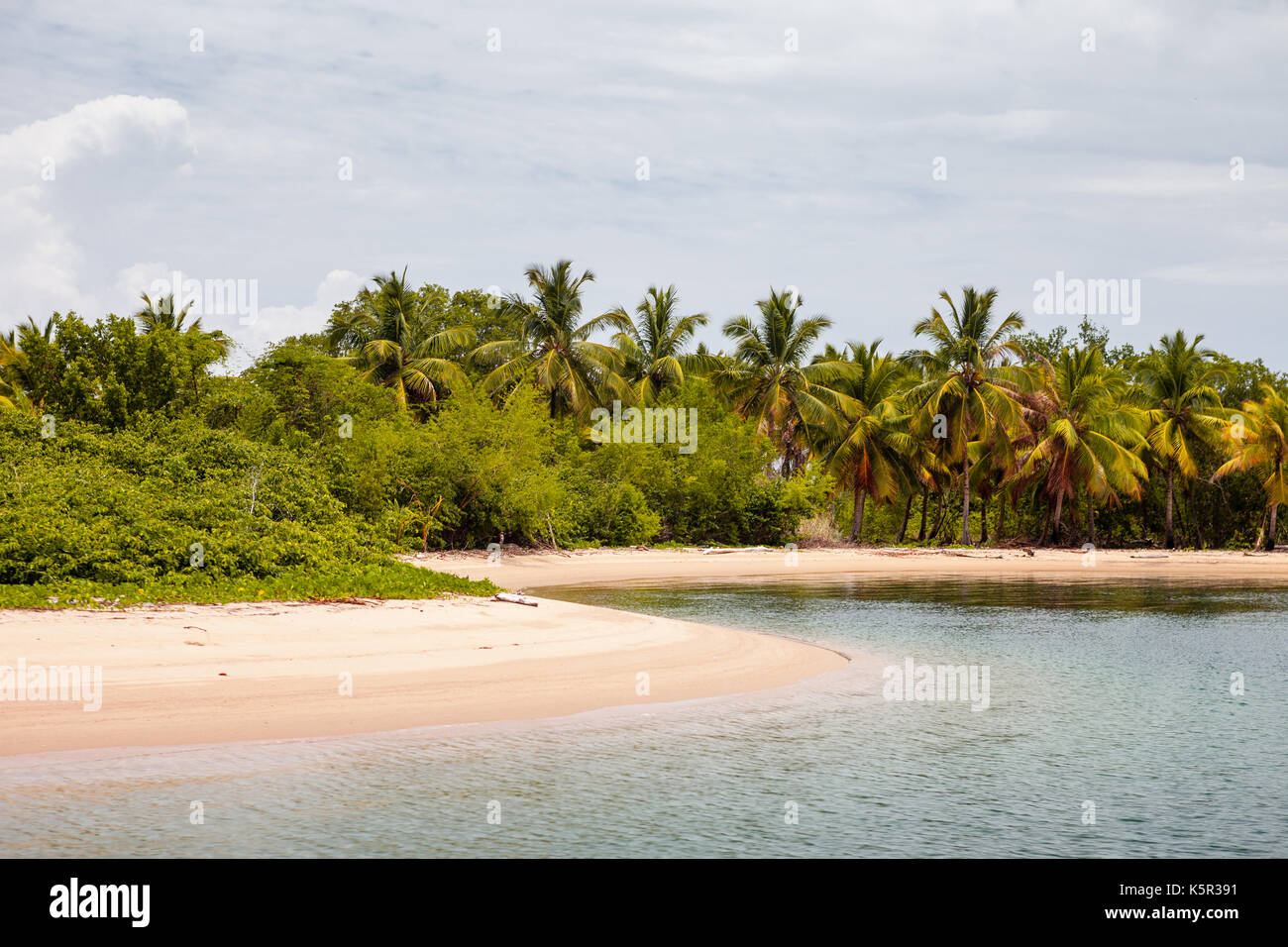 Parque Nacional de los Haitises, República Dominicana Stockfoto