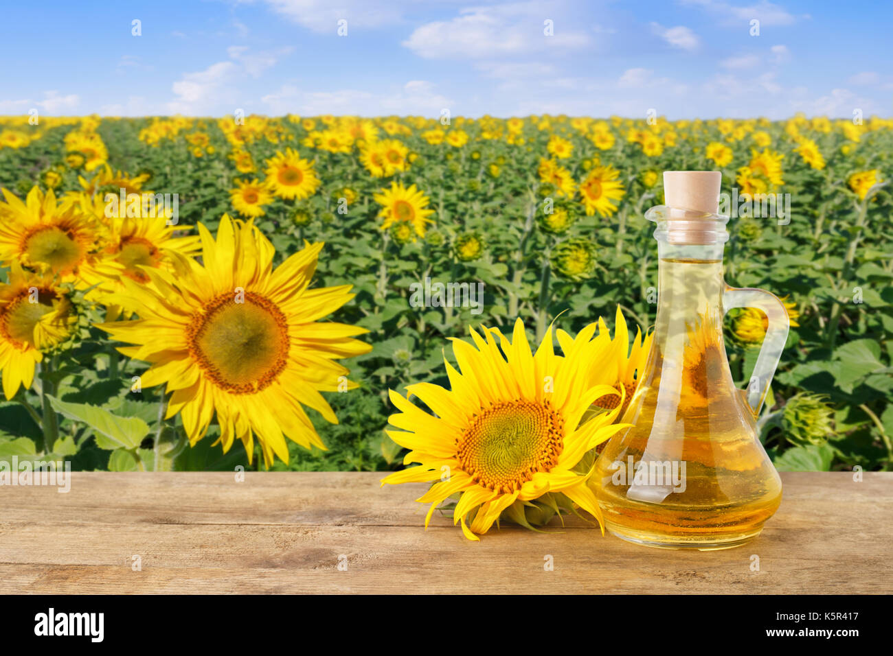 Sonnenblumenöl und blühenden Sonnenblumen Feld Stockfoto