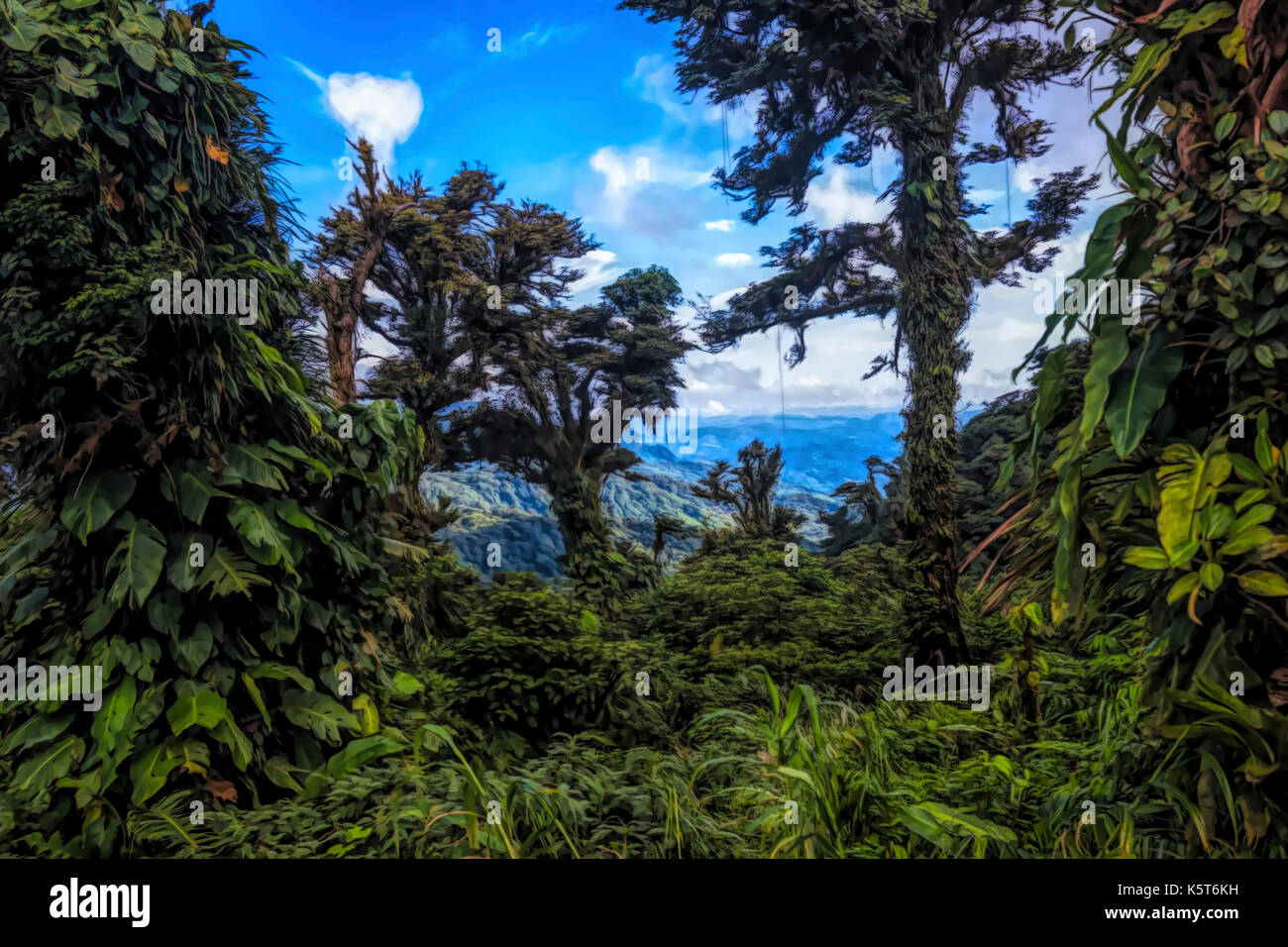 Regen Wald landschaft. Szene Darstellung Stockfoto