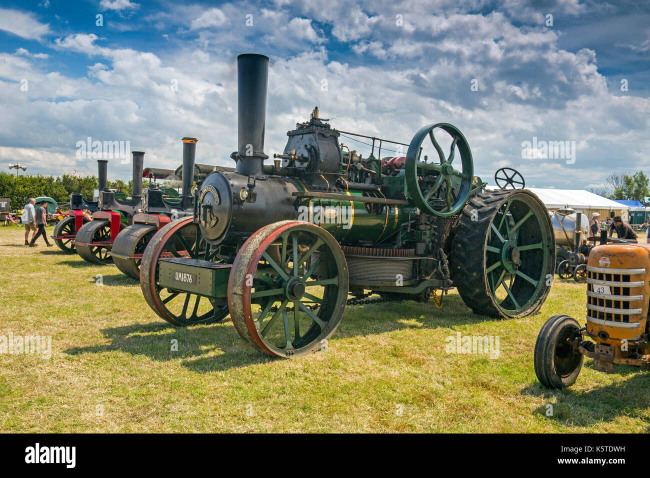 Ein Line up der historischen Zugmaschinen am Sedgemoor Oldtimer Rallye, Pawlett, Somerset, England, Großbritannien Stockfoto