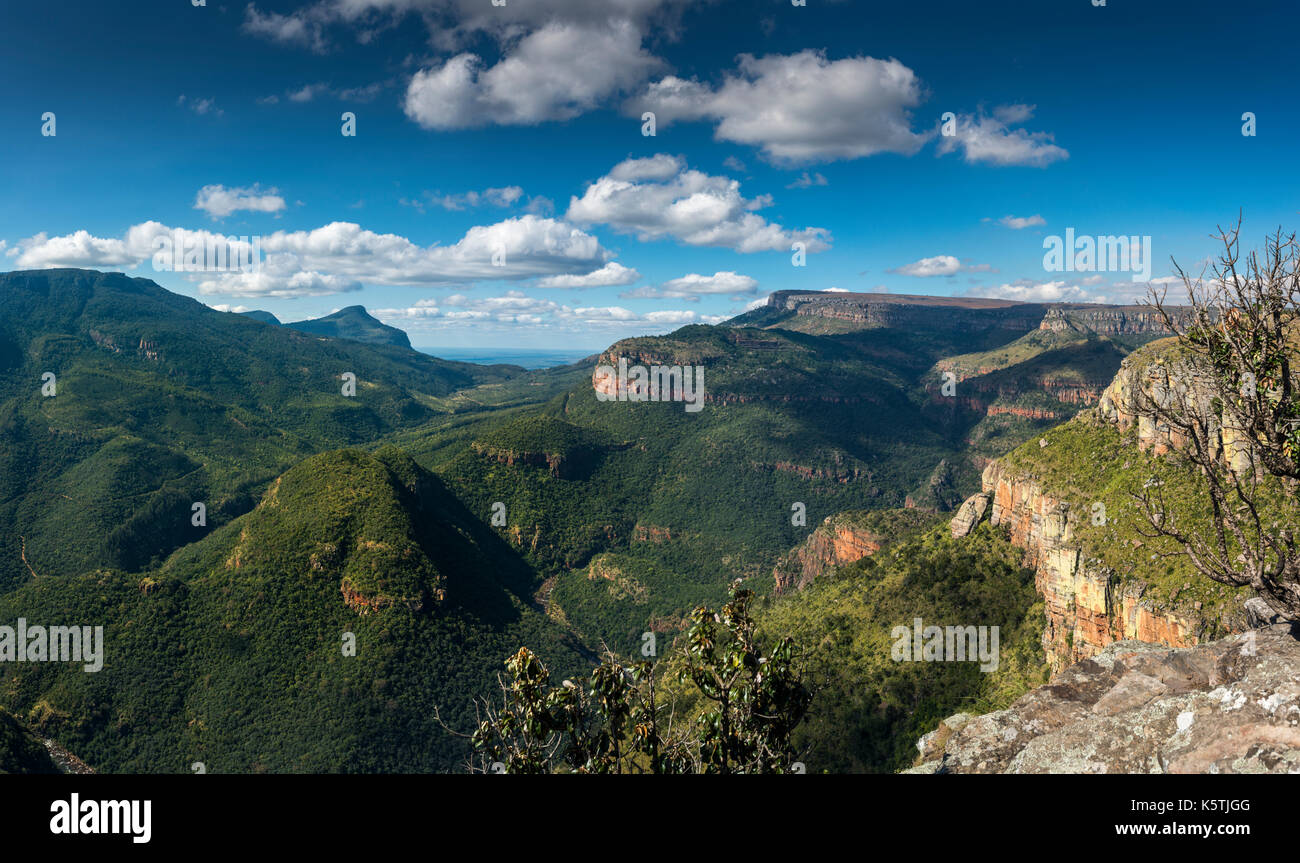 Panoramablick vom Wonderview zu Lowfeld, Panorama Route, Mpumalanga, Südafrika Stockfoto