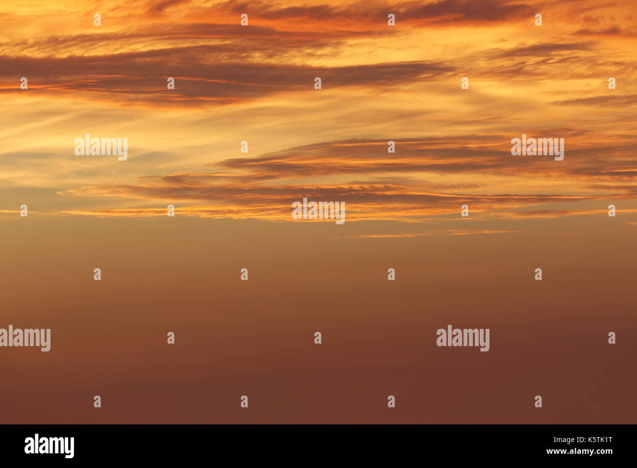 Abendhimmel mit orange Zirruswolken, Deutschland Stockfoto
