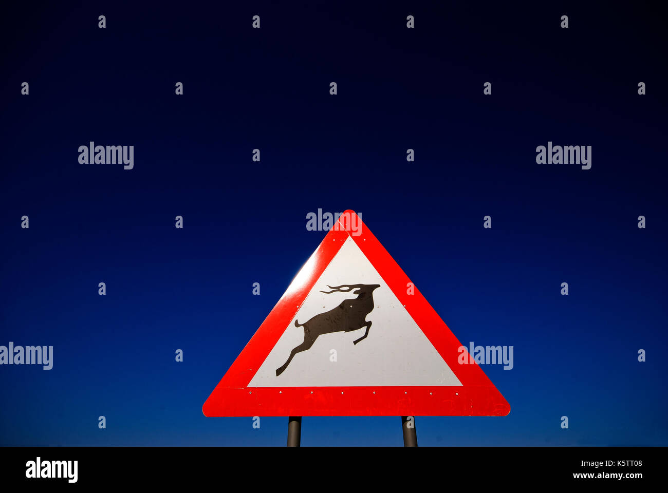 Animal Crossing Schild, fahren Sie vorsichtig, auf der Straße Kamanjab-Palmwag, Cunene Region, Namibia Stockfoto