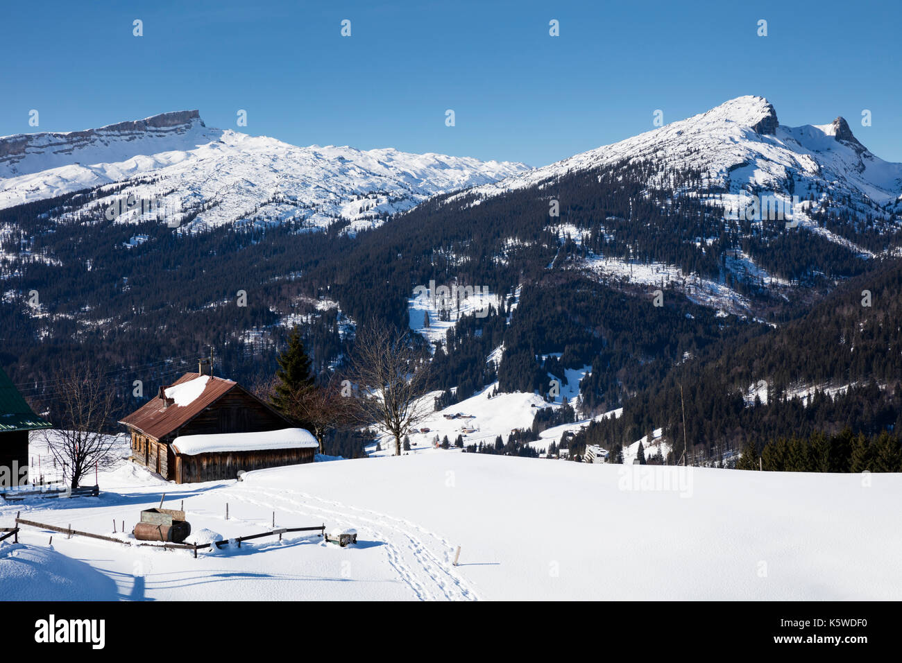 Winterlandschaft, Kleinwalsertal, Alpen, Vorarlberg, Österreich Stockfoto