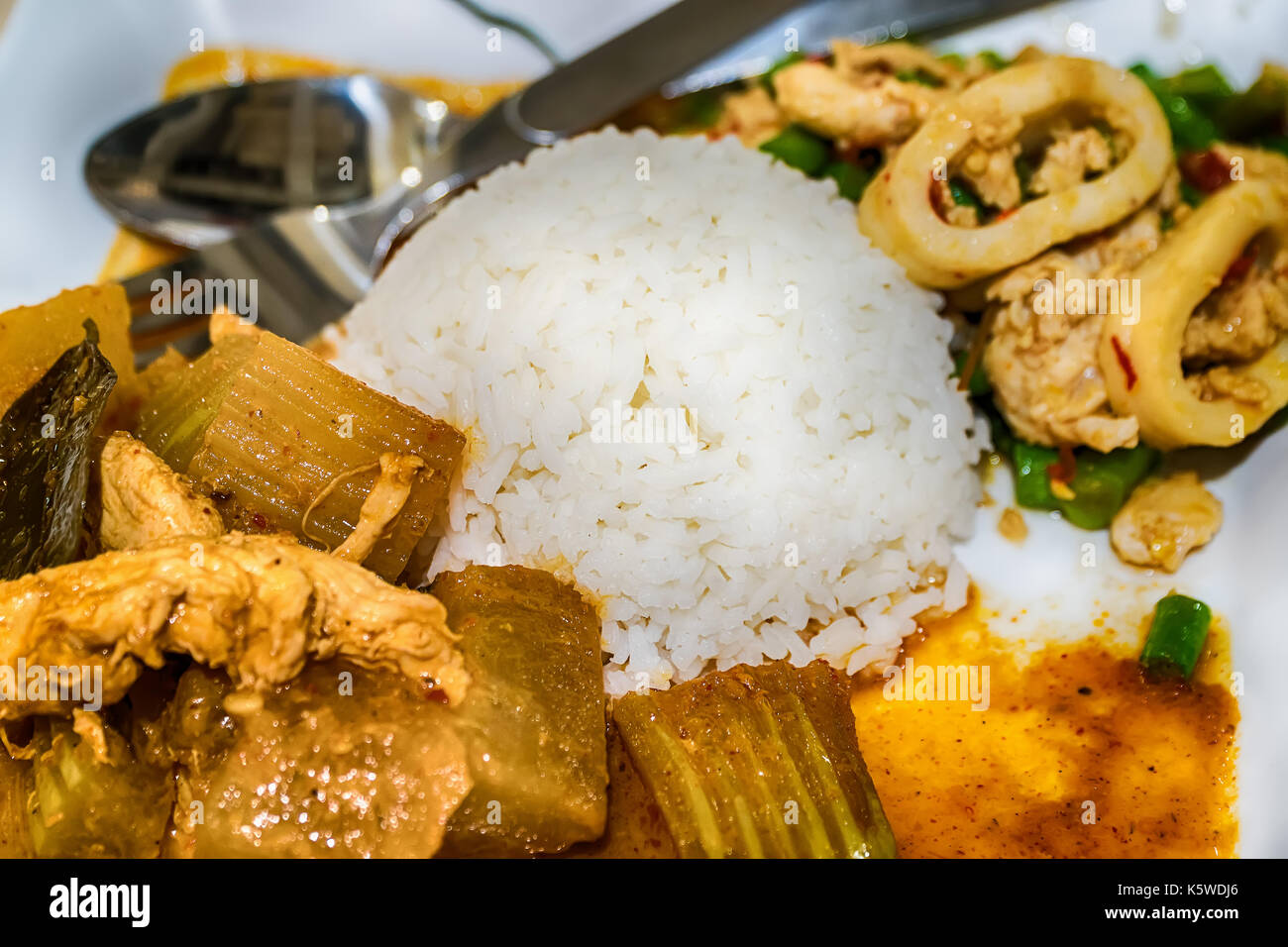 Chicken Curry und Reis auf einem weißen Teller. Stockfoto
