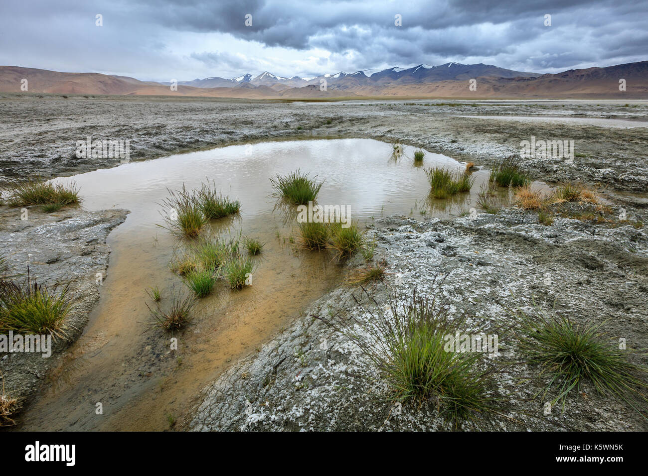 Tso Kar salt lake im südlichen Teil von Ladakh, Kaschmir, Indien Stockfoto