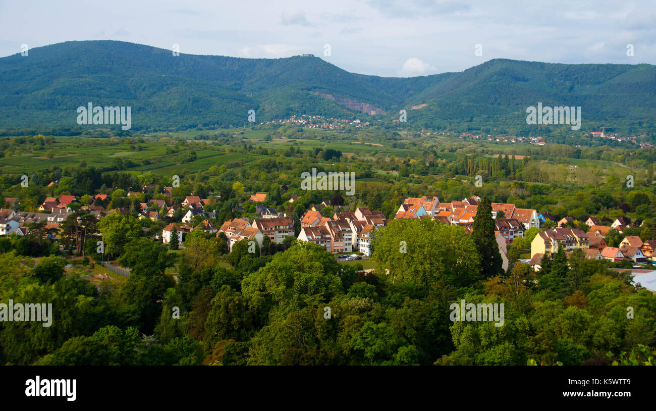 Blick auf das Dorf von Obernai im Elsass Stockfoto