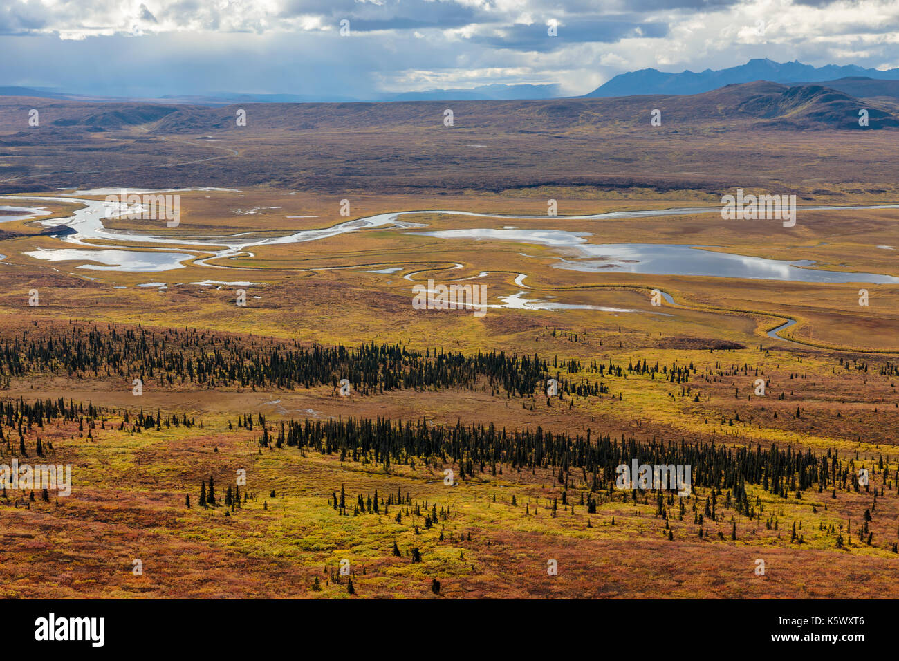 Die Maclaren Fluss schlängelt sich durch die Tundra Tal und die Alaska Range Der inneren Alaska. Herbst. Am Nachmittag. Stockfoto