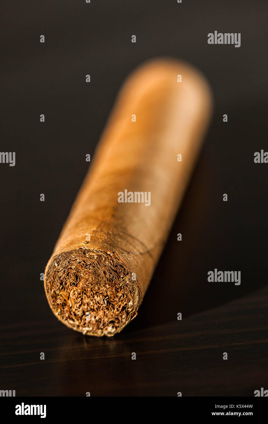 Kubanische Zigarre. Stockfoto