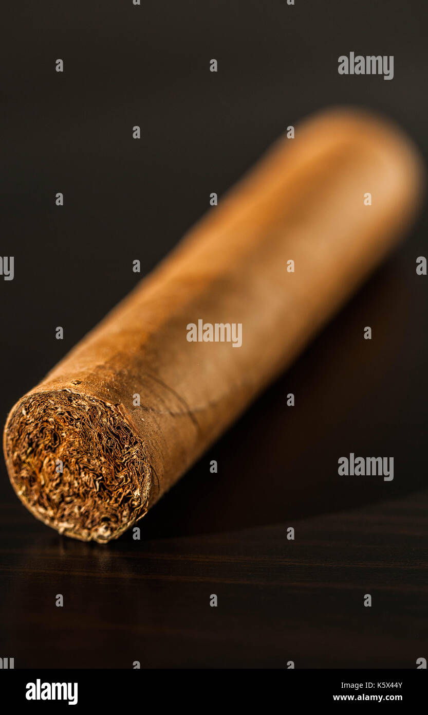 Kubanische Zigarre. Stockfoto