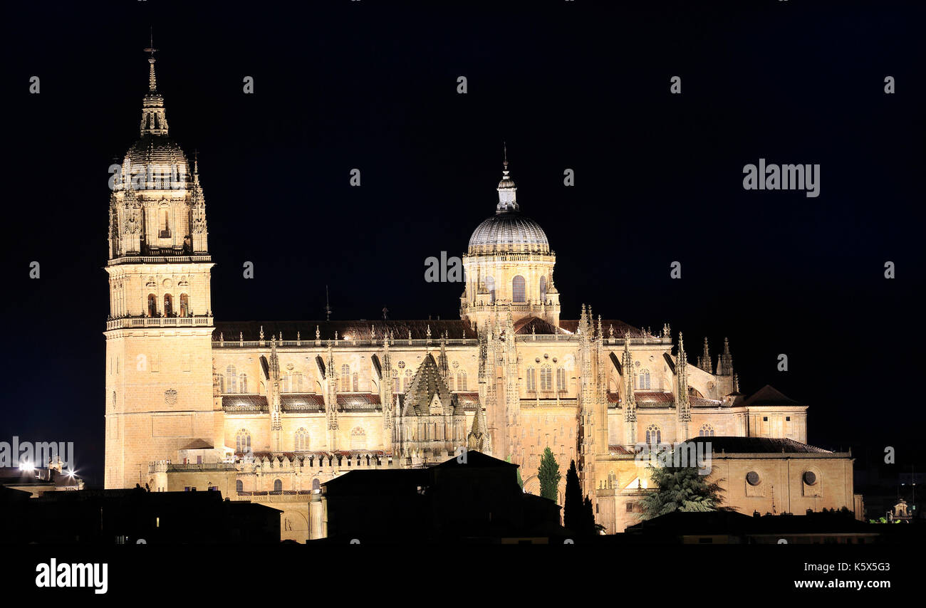 Salamanca Alte und Neue Kathedrale bei Nacht beleuchtet, Spanien Stockfoto