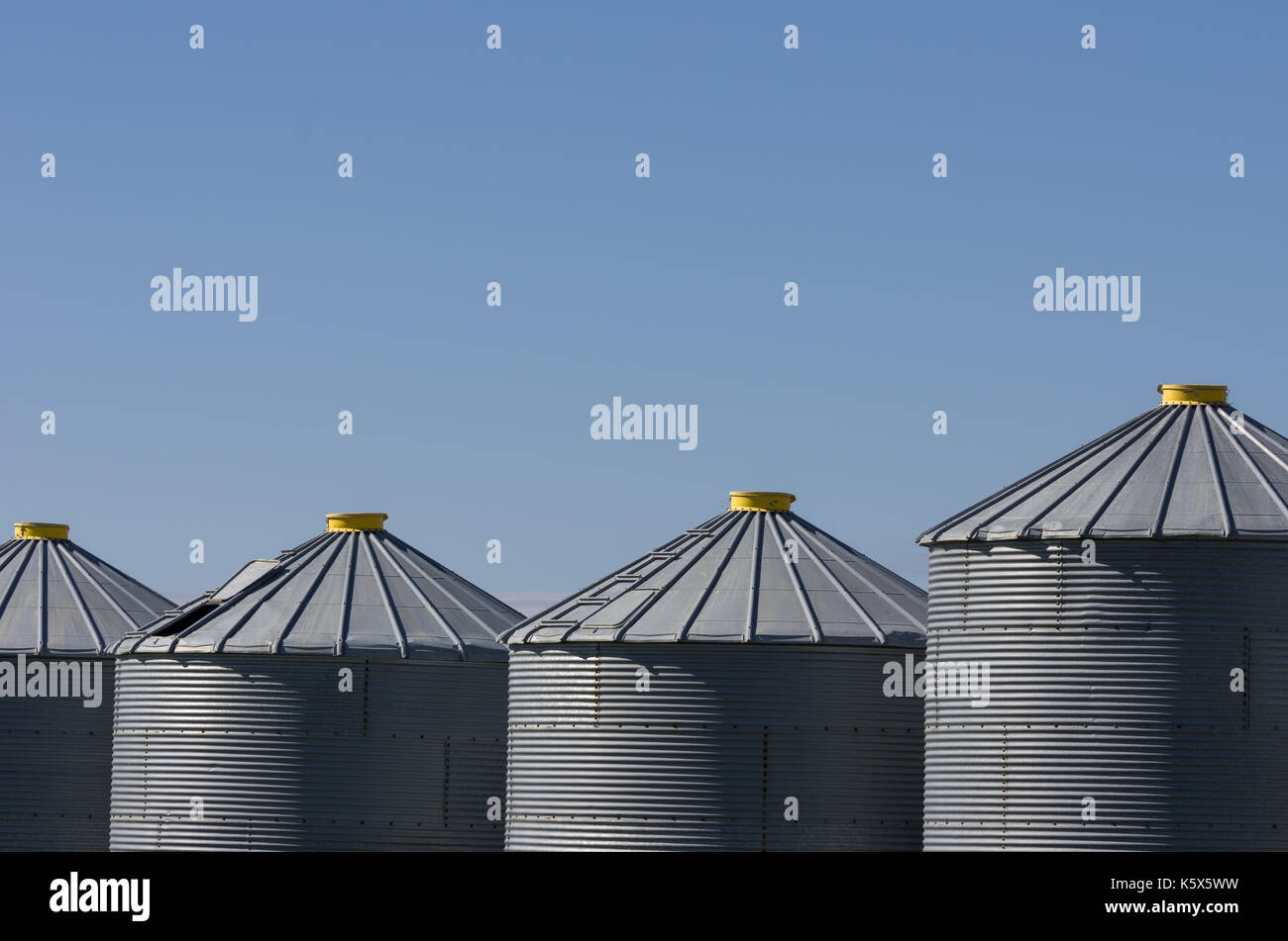 Eine Reihe von grauer Stahl Korn bins mit gelben Dach Kappen für die herbsternte Körner zu speichern bereit Stockfoto