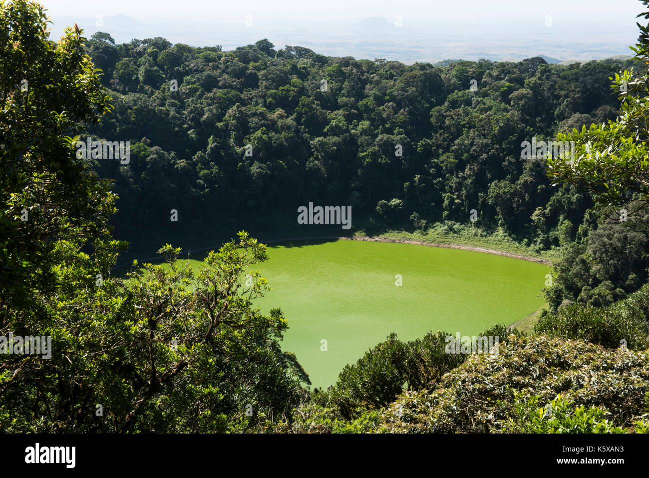 Lac de la Coupe Verte, Crater Lake, Amber Mountain National Park, Madagaskar Stockfoto