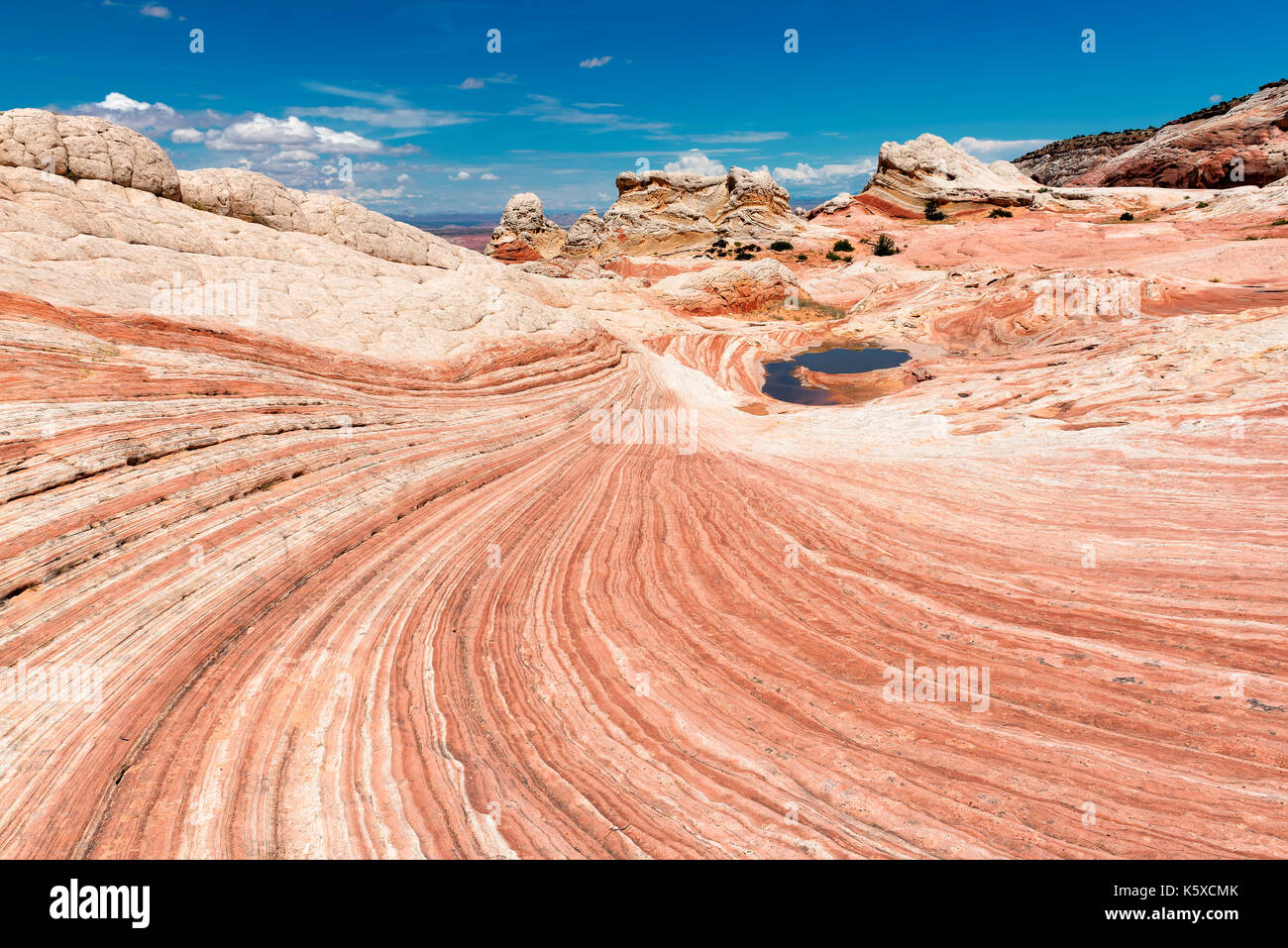White Pocket Bereich der Vermilion Cliffs National Monument, Arizona. Stockfoto