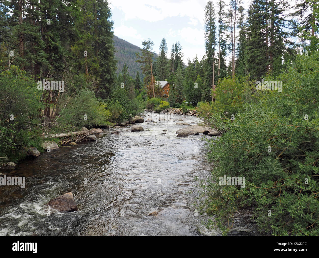 Ein kleiner Bach oder Fluss verläuft durch ein Waldgebiet in der Nähe von Grand Lake in Colorado. Der Stream ist von Bäumen und einem Log Cabin home umgeben. Im hinterg Stockfoto