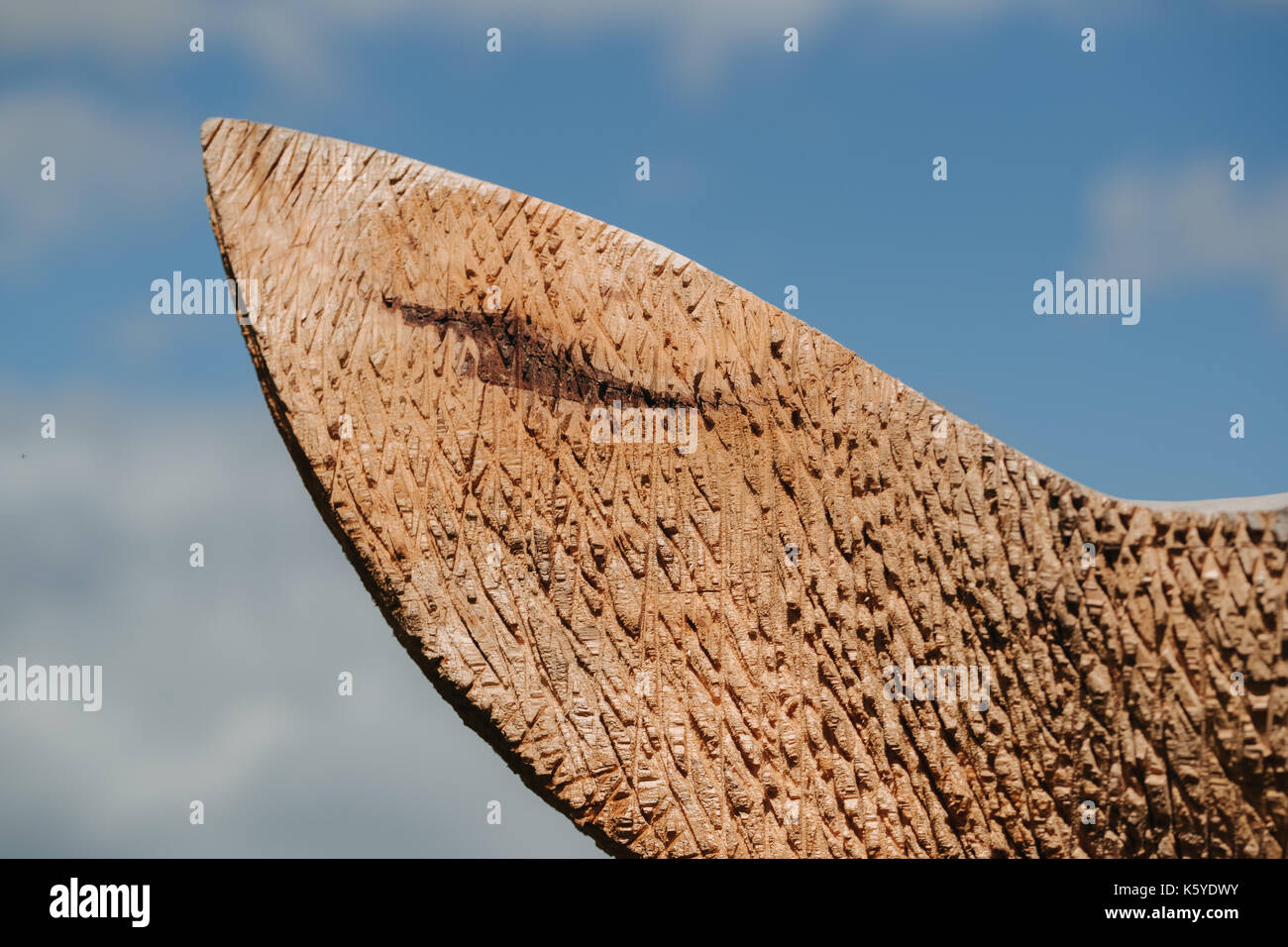 Wetterfahne closeup auf einen Himmel Hintergrund. Stockfoto