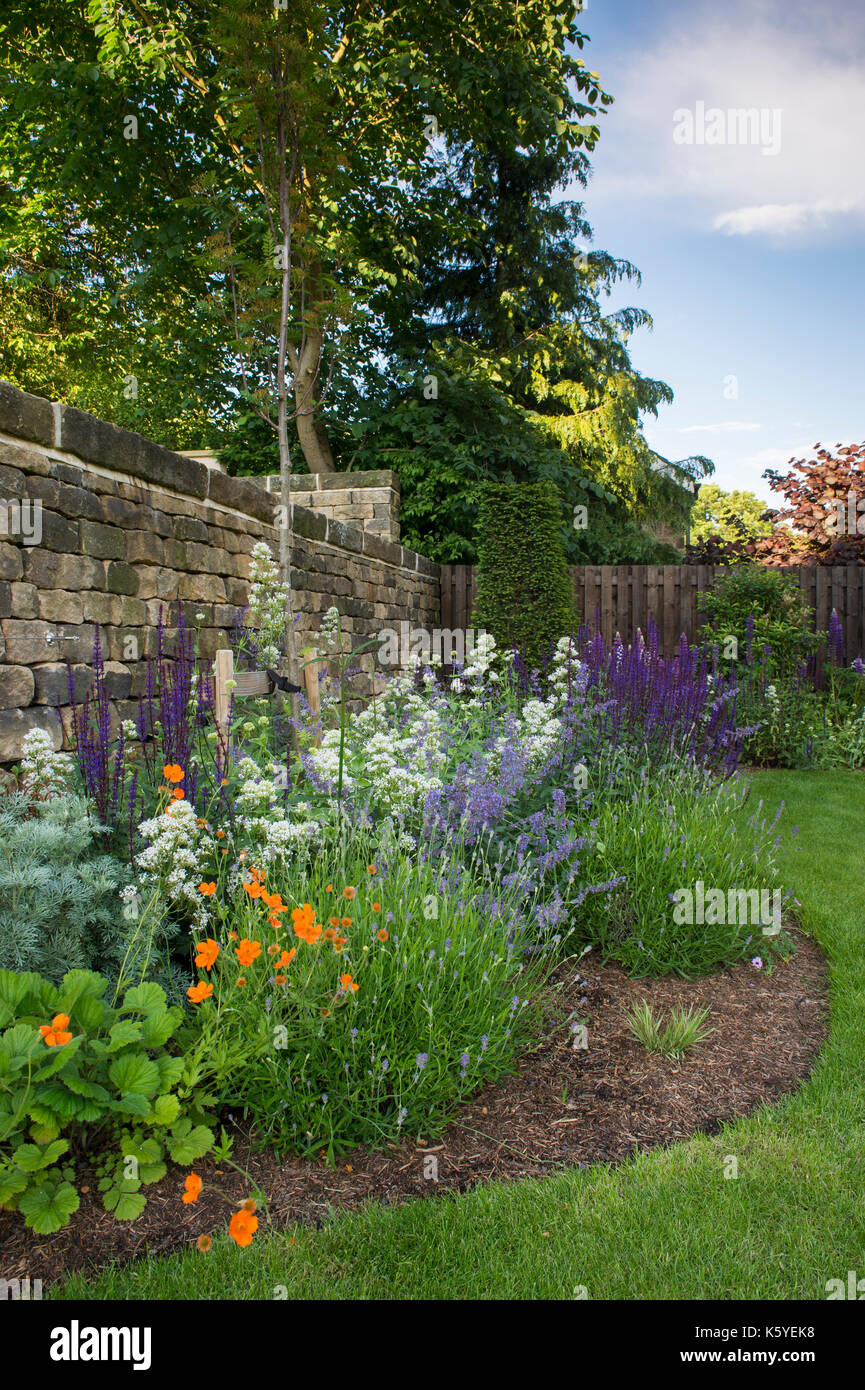 Schöne, private, traditionelle, Landschaftsgarten, Country Garden, West Yorkshire, England, UK-Sommer blühende Pflanzen in Nahaufnahme im Staudenbeet. Stockfoto