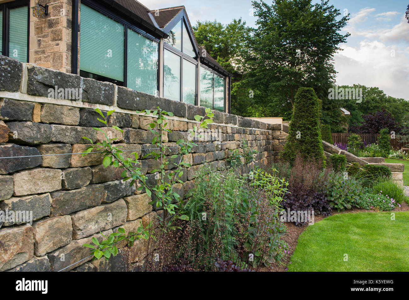 Schöne, private, traditionelle, Landschaftsgarten, Country Garden, West Yorkshire, England, UK-Sommer Blick auf Rasen und Pflanzen auf staudenbeet von House. Stockfoto